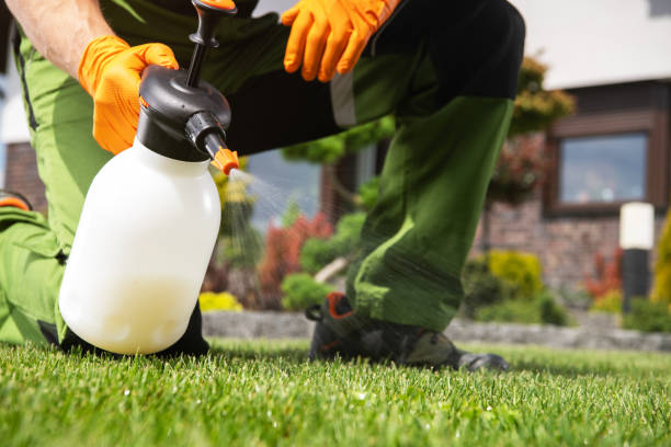 Best Bird Control  in Wichita Falls, TX