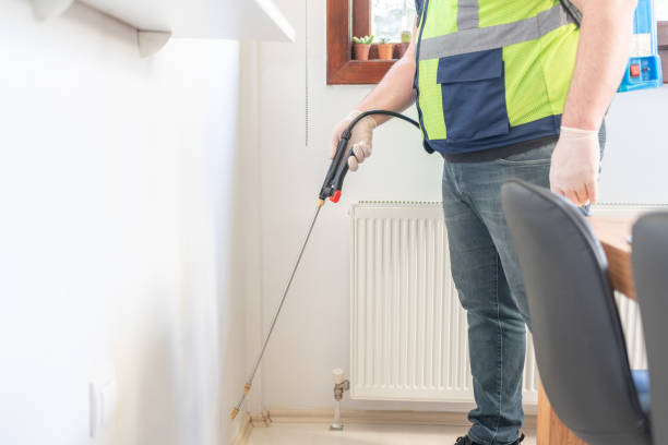 Reliable Wichita Falls, TX Pest Control Solutions