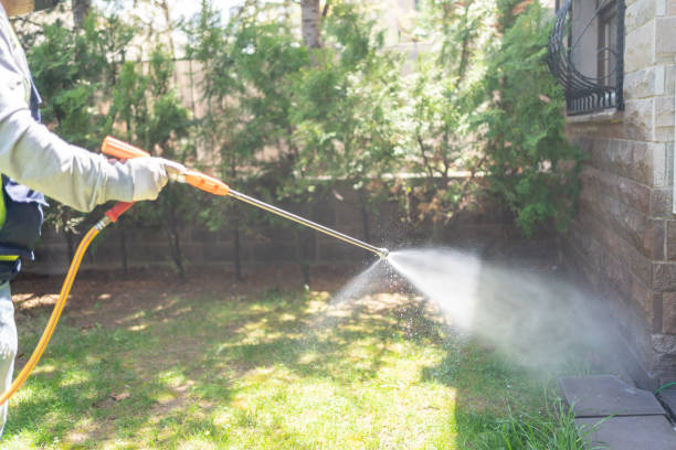 Best Cockroach Control Services  in Wichita Falls, TX