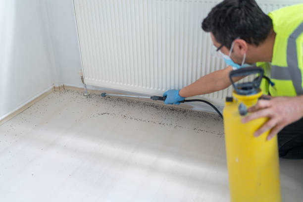 Best Commercial Pest Control Services  in Wichita Falls, TX